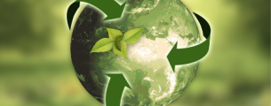 Analista Ambiental: Conhecimentos Técnicos e Legais - Gratuito